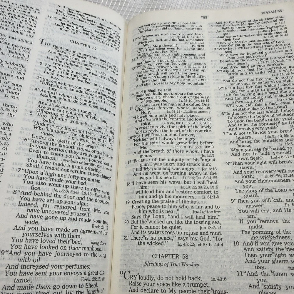 Nelson Open Bible 1985 KJV Expanded Edition Genuine Leather Soft Cover‎ Red